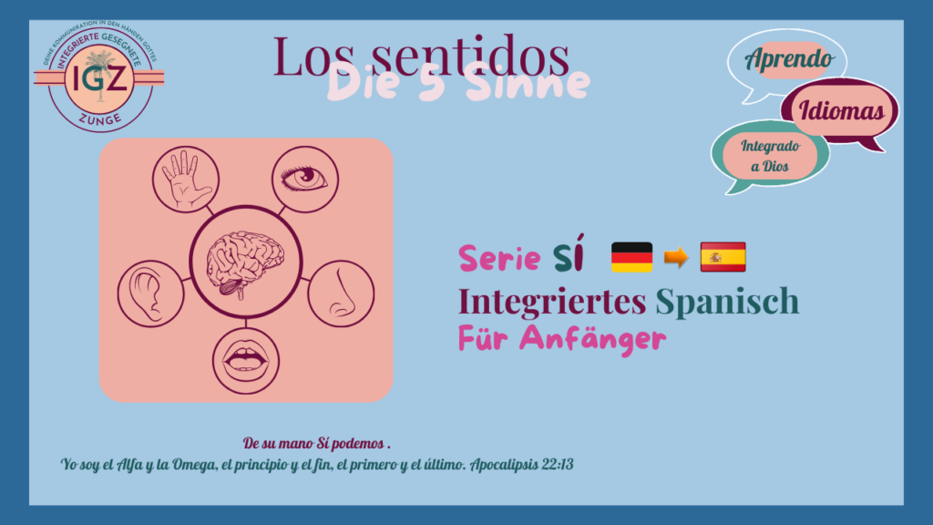 Die 5 Sinne auf Spanisch