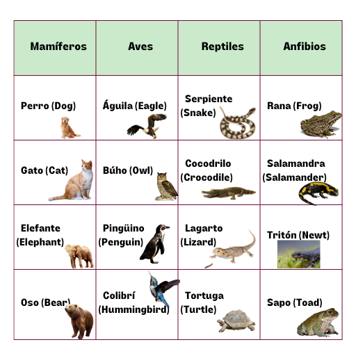 clasificación de los animales en espanol e inglés